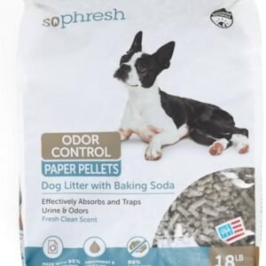 Home boncellensis secullant