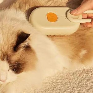 Store mini astrophytum