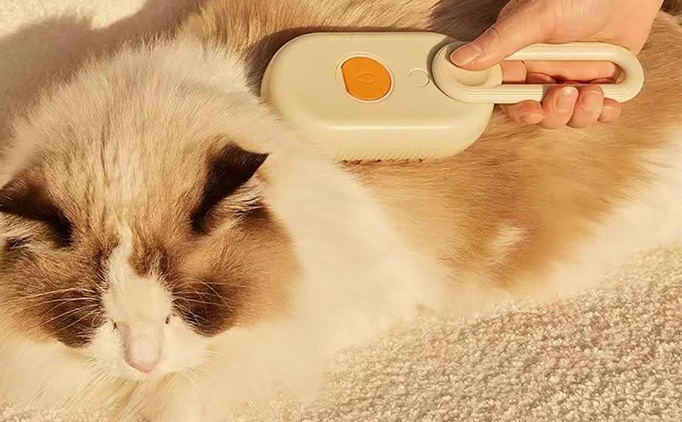 mini astrophytum mini astrophytum