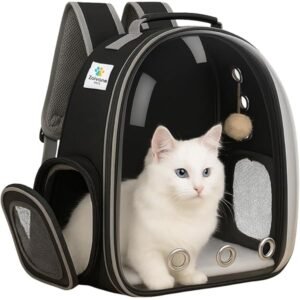 Store stylish transparent cat bag