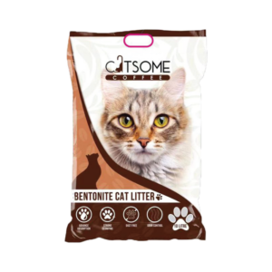 Home piorro quisquam